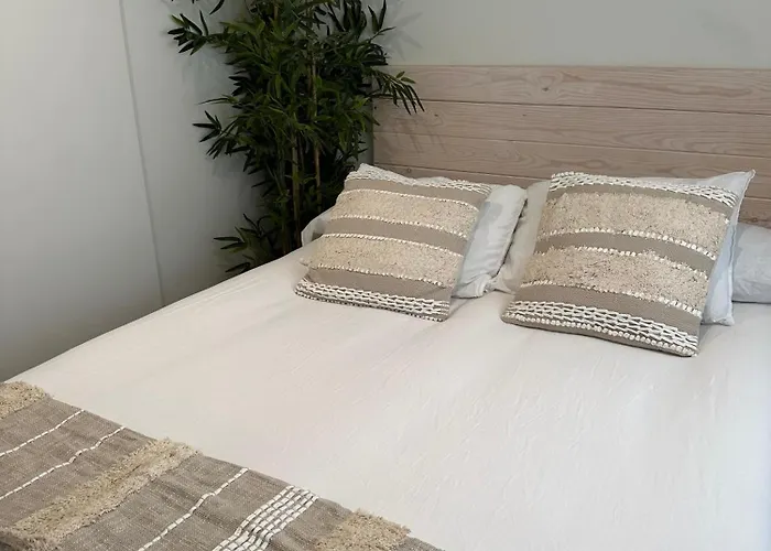 Loft Peregrino * Pontevedra